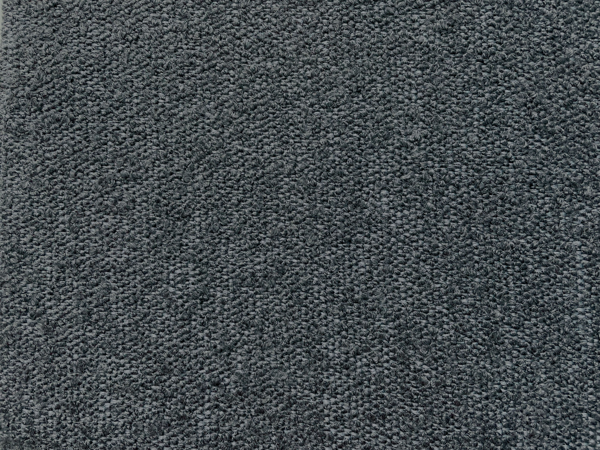 Roma E166 mockingbird